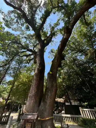 伊弉諾神宮(兵庫県)