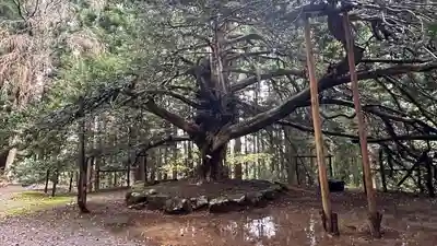 真山神社の自然
