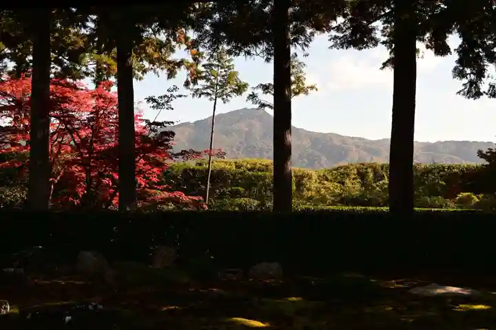 圓通寺(京都府)
