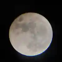 磐椅神社の自然