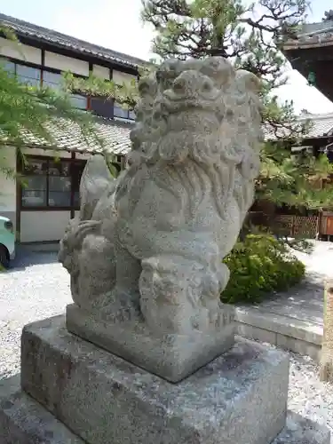 大垣八幡神社の狛犬