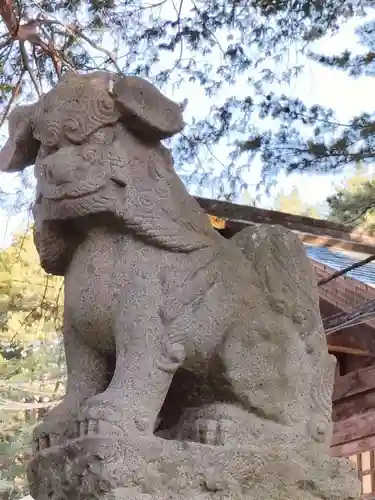 北海道神宮の狛犬