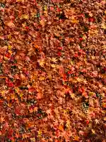 土津神社|こどもと出世の神さまの自然