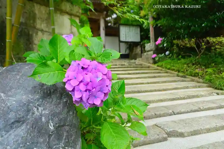 岩殿寺(神奈川県)