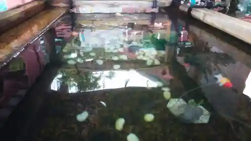 津島神社の手水舎