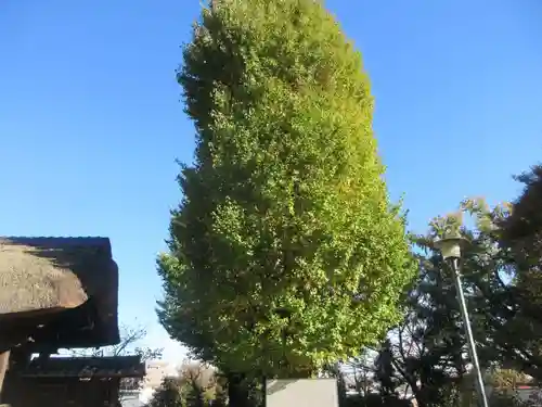 横浜　西方寺(神奈川県)