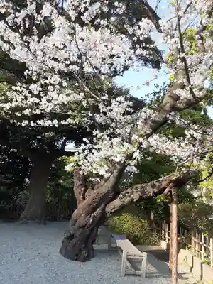 伊勢山皇大神宮(神奈川県)