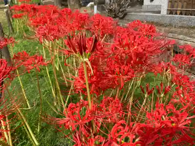 横浜　西方寺(神奈川県)