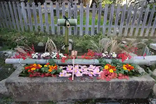 二尊院の手水舎