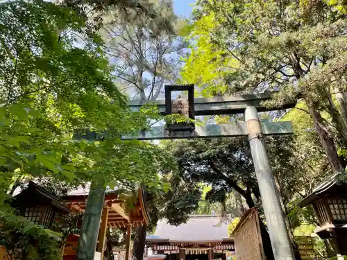 平塚八幡宮の鳥居