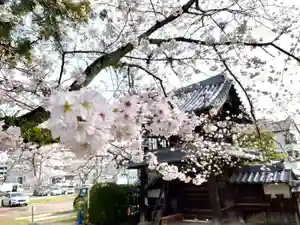伊勢の国 四天王寺の自然(2023年03月27日(月) 13時11分54秒投稿)