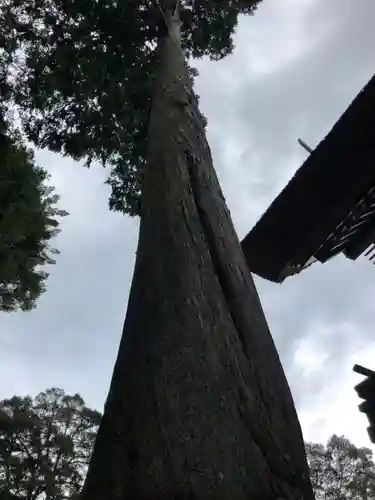 豊受大神社の景色