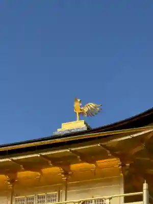 鹿苑寺（金閣寺）の{uncategorized: "未分類", other: "その他", undefined: "問題あり", building: "その他建物", grave: "お墓", sacred_gate: "鳥居", guardian: "狛犬", statue: "像", buddha: "仏像", history: "歴史", nature: "自然", garden: "庭園", animal: "動物", pagoda: "塔", temizu: "手水舎", mountain_gate: "山門・神門", sanctuary: "本殿・本堂", subordinate: "末社・摂社", art: "芸術", scenery: "景色", jizo: "地蔵", ema: "絵馬", goshuin: "御朱印", omikuji: "おみくじ", items: "授与品その他", amulet: "お守り", goshuincho: "御朱印帳", eats: "食事", festival: "お祭り", votive_dance: "神楽", shichigosan: "七五三参", wedding: "結婚式", experience: "体験その他", initially: "初詣", around: "周辺", anti_infection: "感染症対策"}