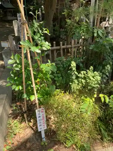 日枝神社(神奈川県)
