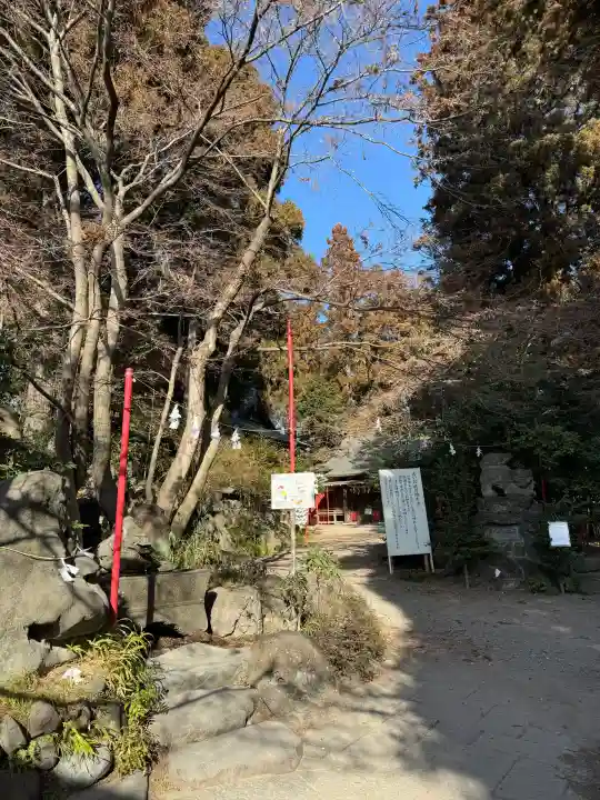 渋川八幡宮の{uncategorized: "未分類", other: "その他", undefined: "問題あり", building: "その他建物", grave: "お墓", sacred_gate: "鳥居", guardian: "狛犬", statue: "像", buddha: "仏像", history: "歴史", nature: "自然", garden: "庭園", animal: "動物", pagoda: "塔", temizu: "手水舎", mountain_gate: "山門・神門", sanctuary: "本殿・本堂", subordinate: "末社・摂社", art: "芸術", scenery: "景色", jizo: "地蔵", ema: "絵馬", goshuin: "御朱印", omikuji: "おみくじ", items: "授与品その他", amulet: "お守り", goshuincho: "御朱印帳", eats: "食事", festival: "お祭り", votive_dance: "神楽", shichigosan: "七五三参", wedding: "結婚式", experience: "体験その他", initially: "初詣", around: "周辺", anti_infection: "感染症対策"}