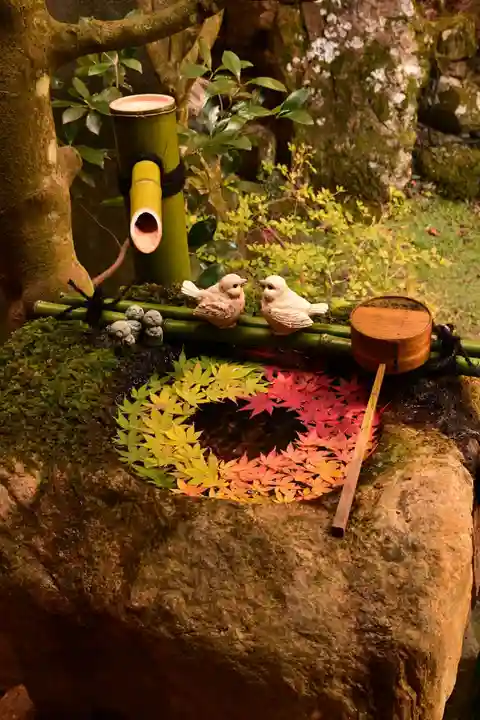 柳谷観音 楊谷寺(京都府)