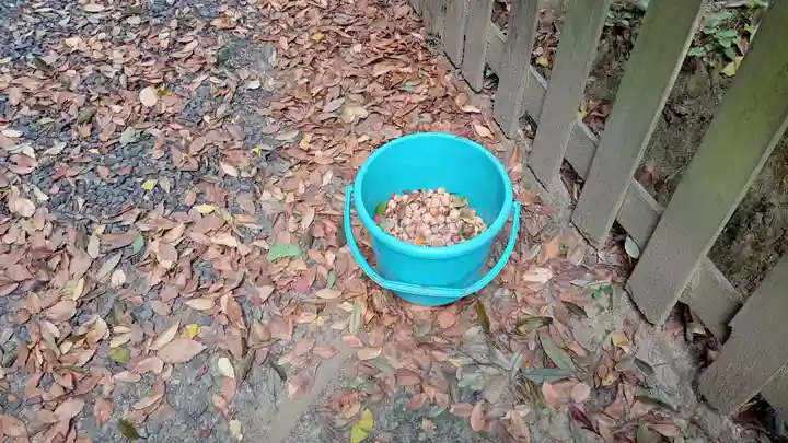 阿邪訶根神社(福島県)
