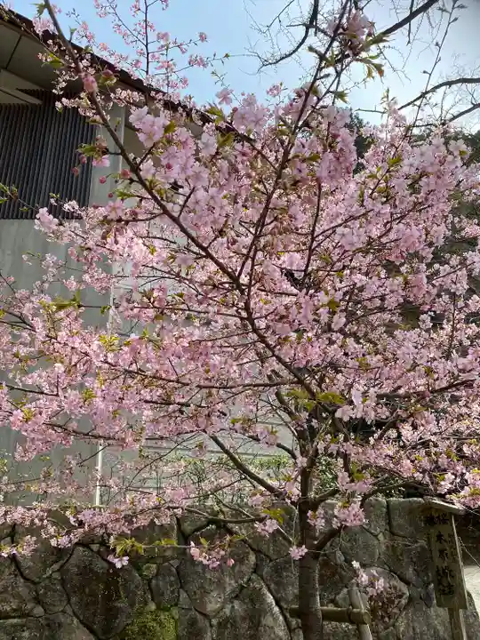 宝満宮竈門神社の自然
