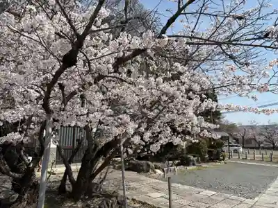 安岡寺(大阪府)