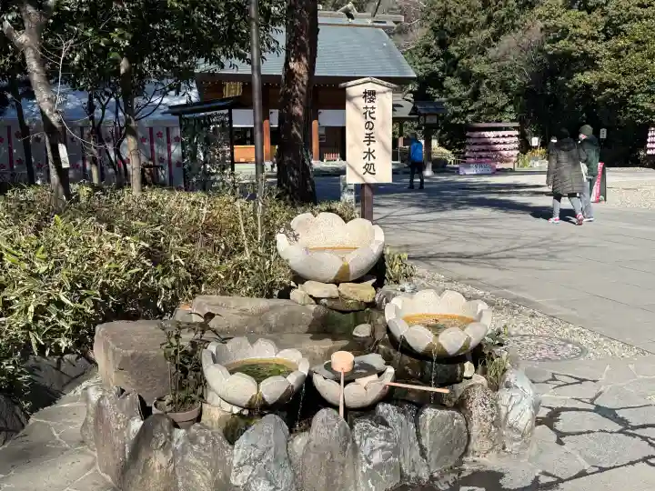 櫻木神社の{uncategorized: "未分類", other: "その他", undefined: "問題あり", building: "その他建物", grave: "お墓", sacred_gate: "鳥居", guardian: "狛犬", statue: "像", buddha: "仏像", history: "歴史", nature: "自然", garden: "庭園", animal: "動物", pagoda: "塔", temizu: "手水舎", mountain_gate: "山門・神門", sanctuary: "本殿・本堂", subordinate: "末社・摂社", art: "芸術", scenery: "景色", jizo: "地蔵", ema: "絵馬", goshuin: "御朱印", omikuji: "おみくじ", items: "授与品その他", amulet: "お守り", goshuincho: "御朱印帳", eats: "食事", festival: "お祭り", votive_dance: "神楽", shichigosan: "七五三参", wedding: "結婚式", experience: "体験その他", initially: "初詣", around: "周辺", anti_infection: "感染症対策"}