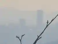 醍醐寺(上醍醐)(京都府)