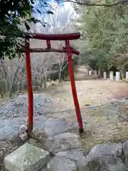 歳徳神社の鳥居