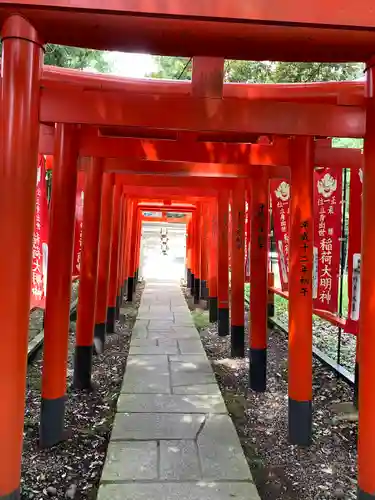 大杉神社の鳥居