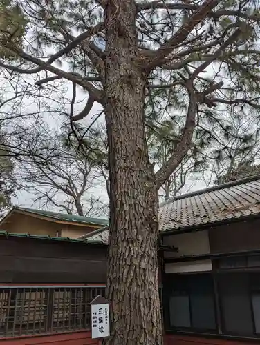 前原御嶽神社(千葉県)