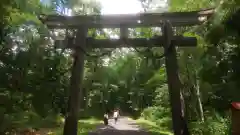 戸隠神社奥社(長野県)