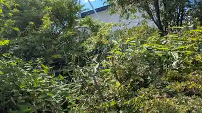 正一位出世 稲荷大明神の自然