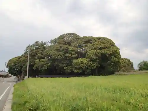 気多御子神社の周辺