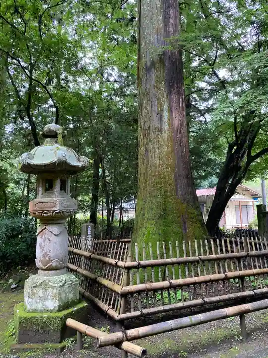 雲巌寺(栃木県)
