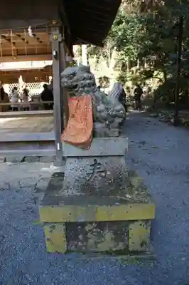 貴船神社奥宮の狛犬