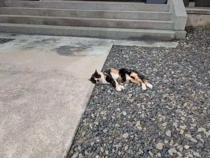 西泉寺(福島県)