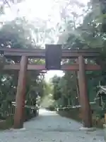 石上神宮の鳥居
