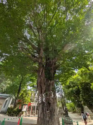 鳩森八幡神社(東京都)