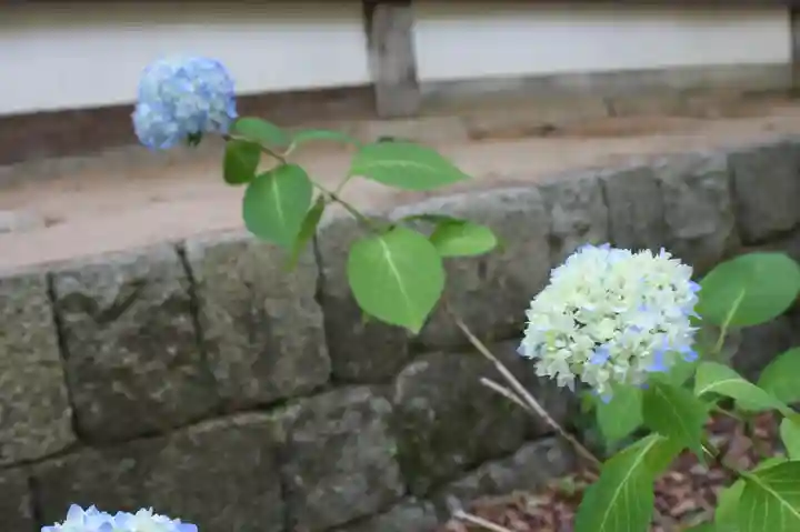 真正極楽寺(真如堂)(京都府)