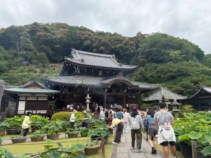 三室戸寺(京都府)