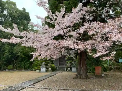 市原豊歳神社の自然
