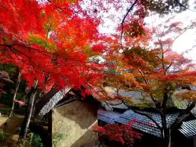 教林坊(滋賀県)
