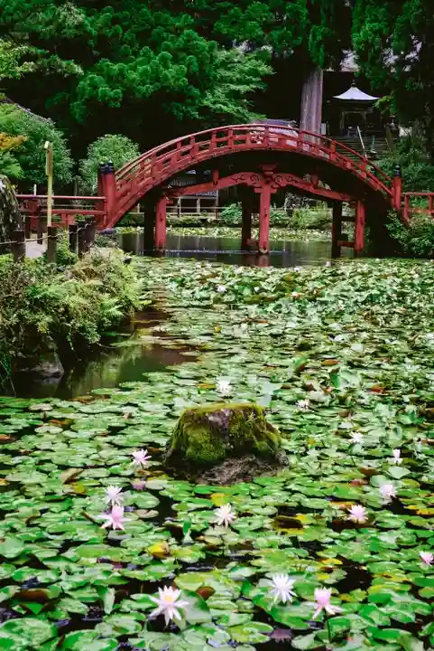 金剛證寺のその他建物