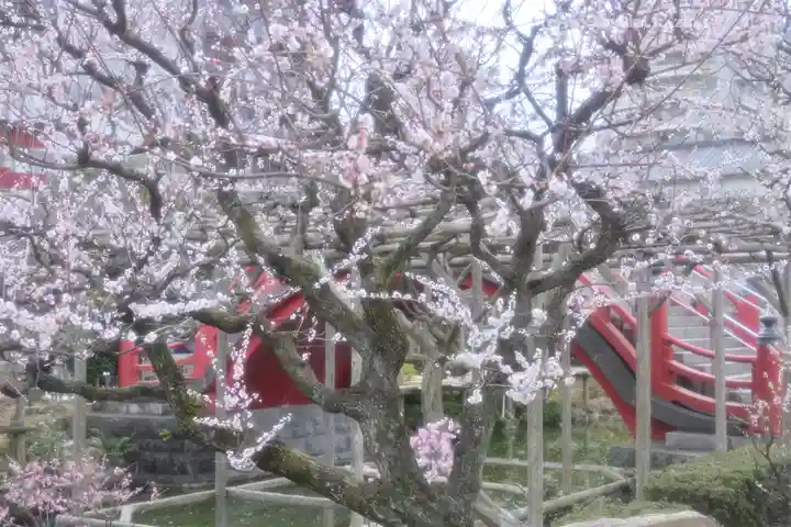 亀戸天神社(東京都)