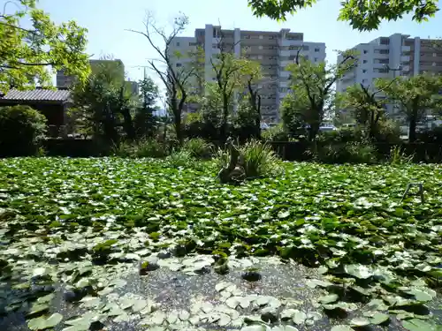 船江上社の景色