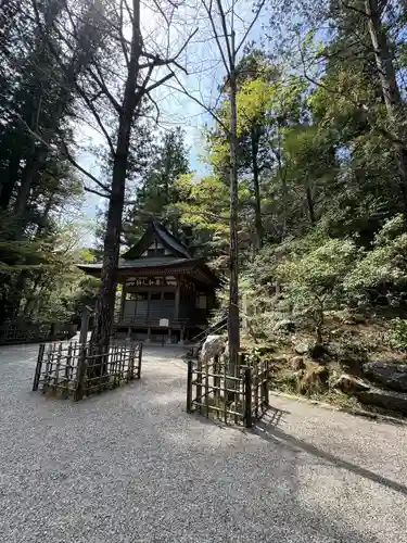 宝登山神社(埼玉県)