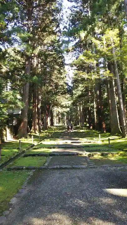 平泉寺白山神社の周辺