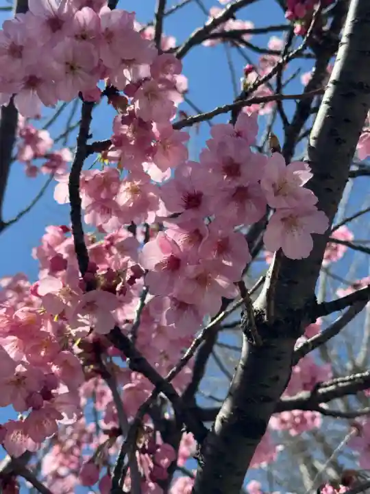 阿邪訶根神社の{uncategorized: "未分類", other: "その他", undefined: "問題あり", building: "その他建物", grave: "お墓", sacred_gate: "鳥居", guardian: "狛犬", statue: "像", buddha: "仏像", history: "歴史", nature: "自然", garden: "庭園", animal: "動物", pagoda: "塔", temizu: "手水舎", mountain_gate: "山門・神門", sanctuary: "本殿・本堂", subordinate: "末社・摂社", art: "芸術", scenery: "景色", jizo: "地蔵", ema: "絵馬", goshuin: "御朱印", omikuji: "おみくじ", items: "授与品その他", amulet: "お守り", goshuincho: "御朱印帳", eats: "食事", festival: "お祭り", votive_dance: "神楽", shichigosan: "七五三参", wedding: "結婚式", experience: "体験その他", initially: "初詣", around: "周辺", anti_infection: "感染症対策"}