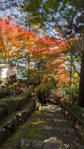 善峯寺(京都府)