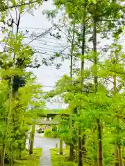 青麻神社の鳥居