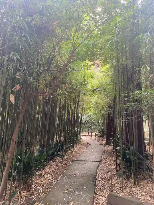 浄智寺(神奈川県)