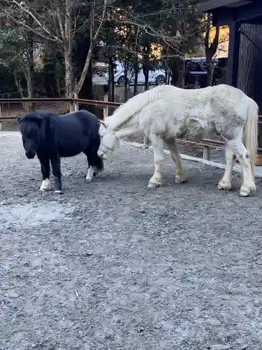 丹生川上神社（下社）の動物